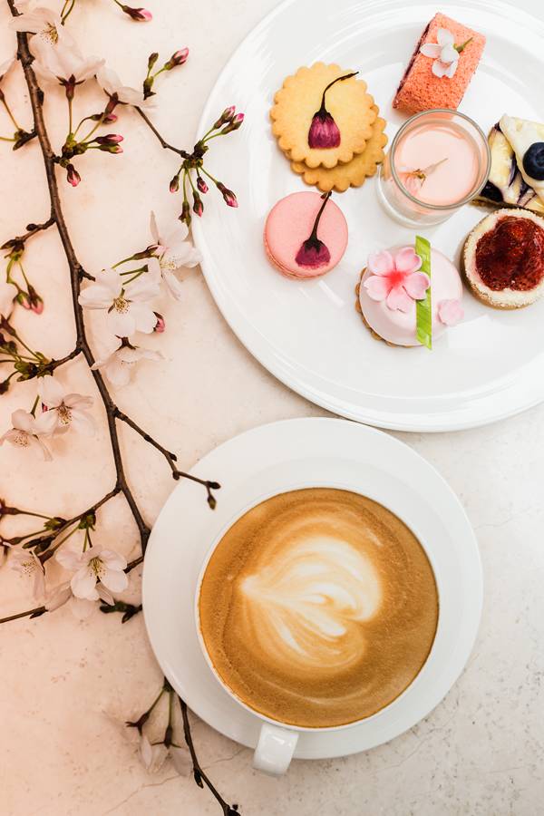 一场樱花雨醉了人间四月天,人间最美四月天樱花怒放