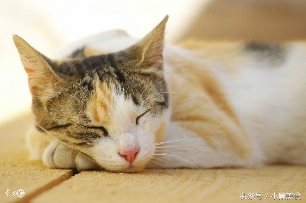 医生说湿热,中医说有湿热西医怎么说