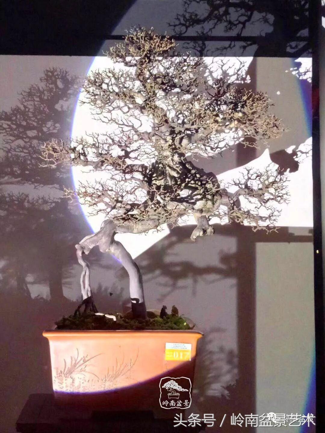 月圆夜，陪您过中秋