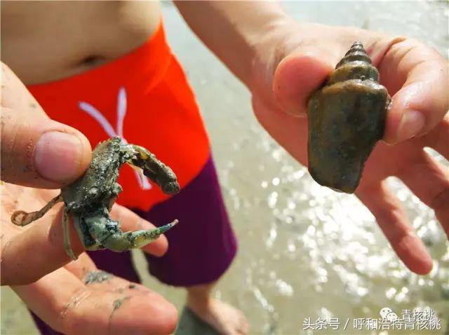 呼和浩特飞普吉岛,刷我滴卡泰国原版