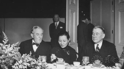 红珊瑚介绍,真正的红珊瑚是什么样的