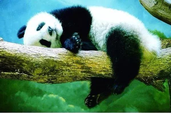 秦岭深处,秦岭深处有人家