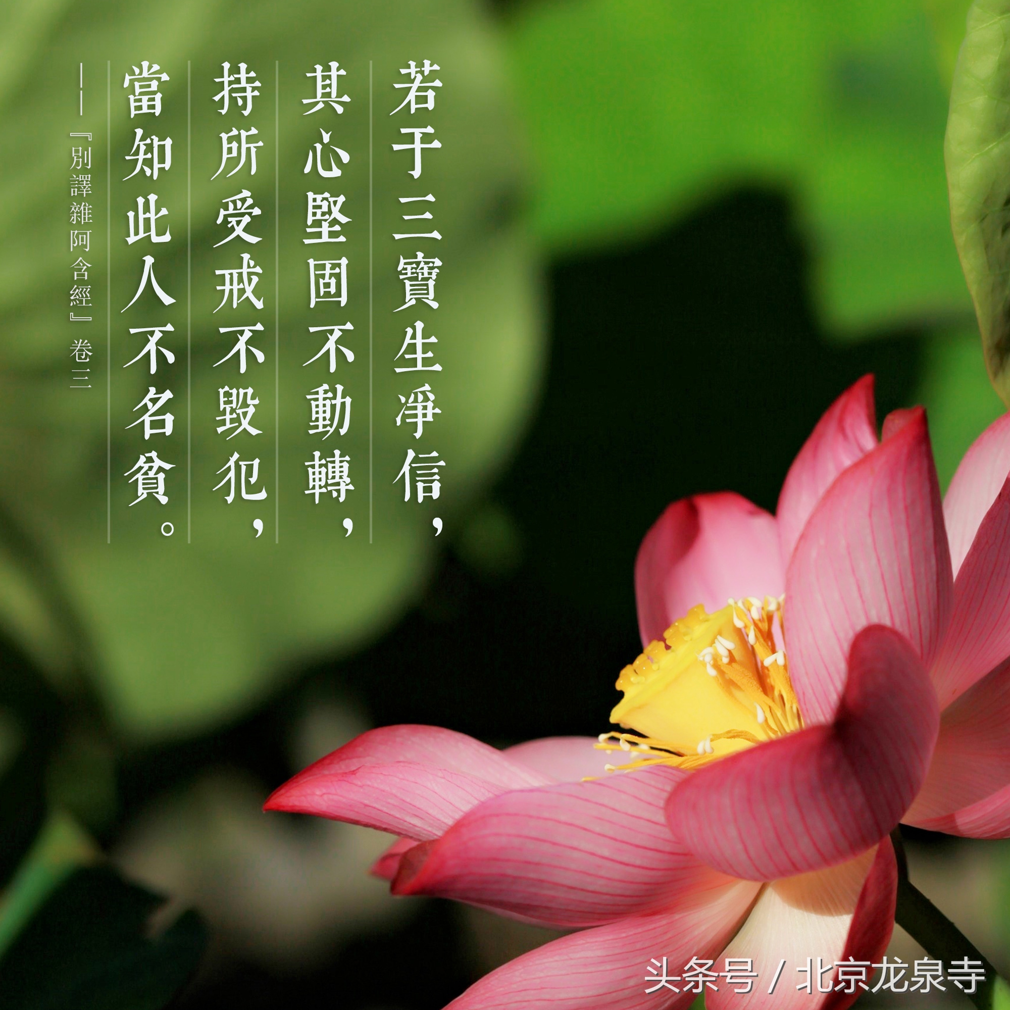 皈依一般什么时候皈依好,为什么要皈依佛门