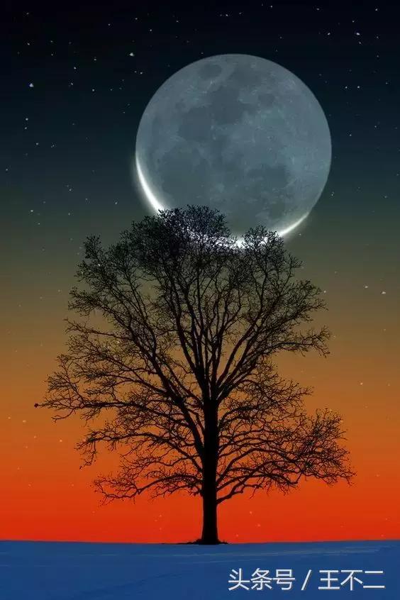 脑洞有多大故事,脑洞有多大想象就有多丰富