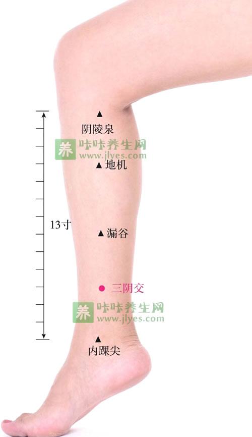艾灸治疗月经不调崩漏,如果月经不来的话艾灸灸哪个穴位