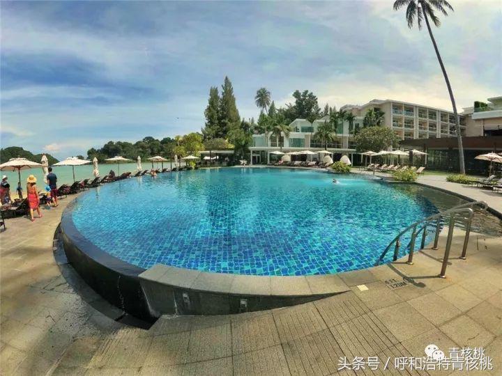 鍛煎拰娴╃壒鍒版櫘鍚夊矝,鍒锋垜婊村崱娉板浗鍘熺増