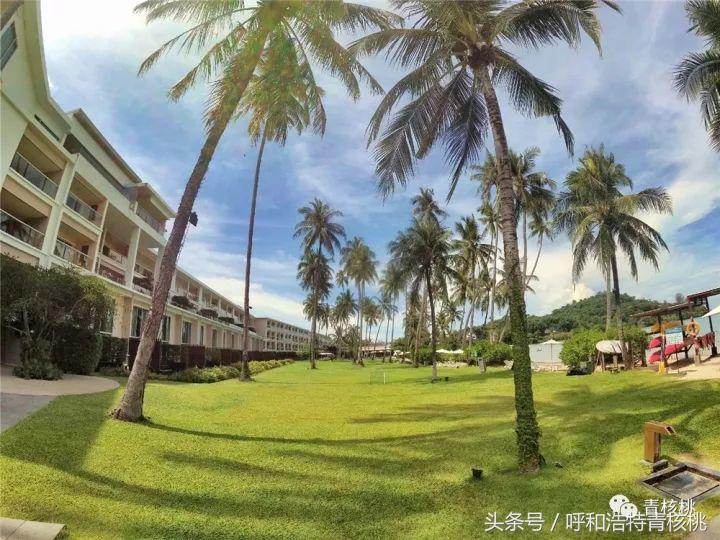 鍛煎拰娴╃壒鍒版櫘鍚夊矝,鍒锋垜婊村崱娉板浗鍘熺増