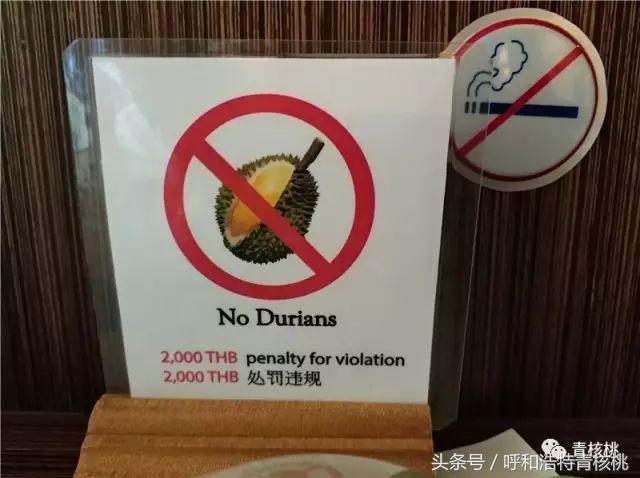 刷我滴卡泰国原版,呼和浩特直飞普吉岛