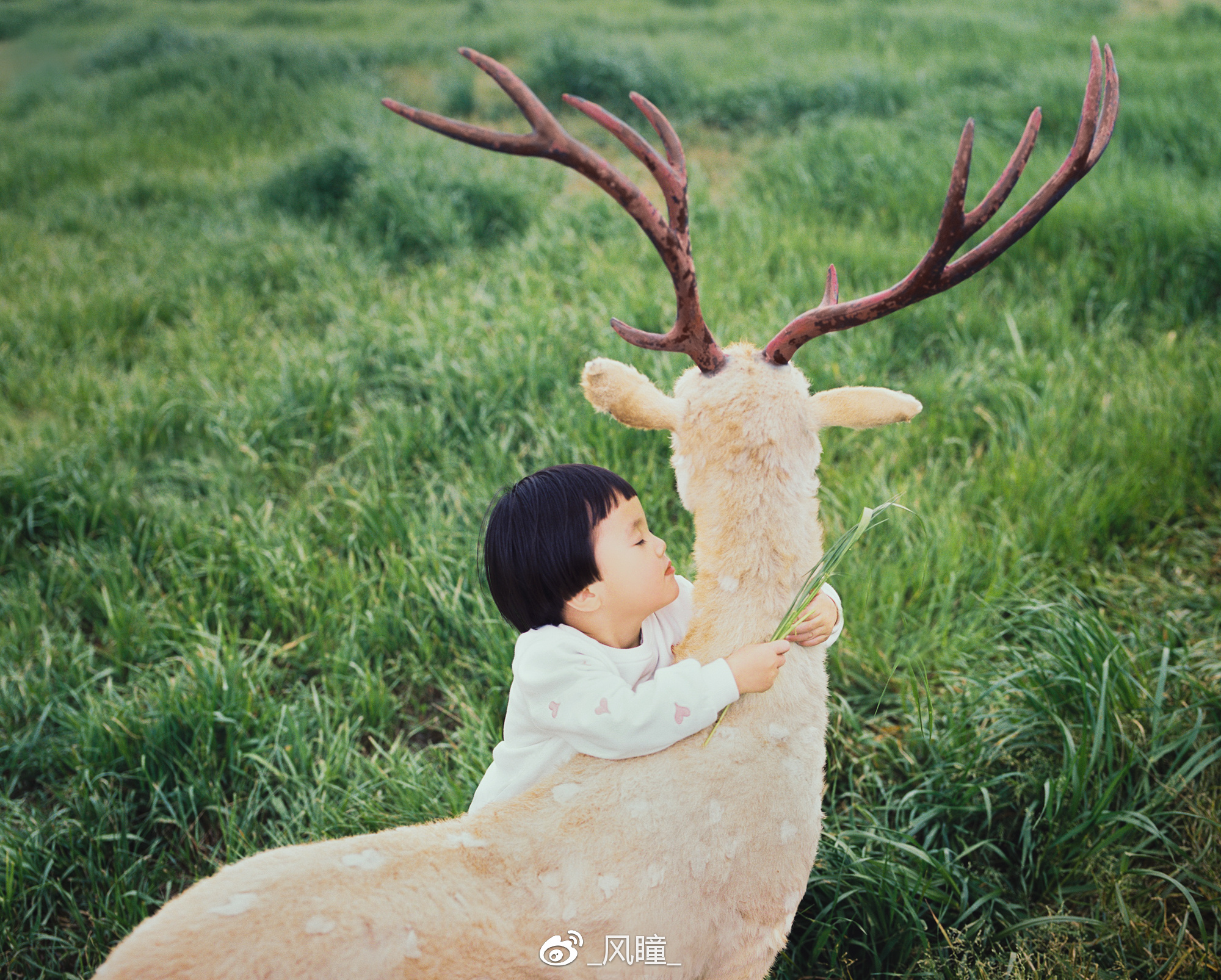 宾得120长焦镜头,宾得67-II