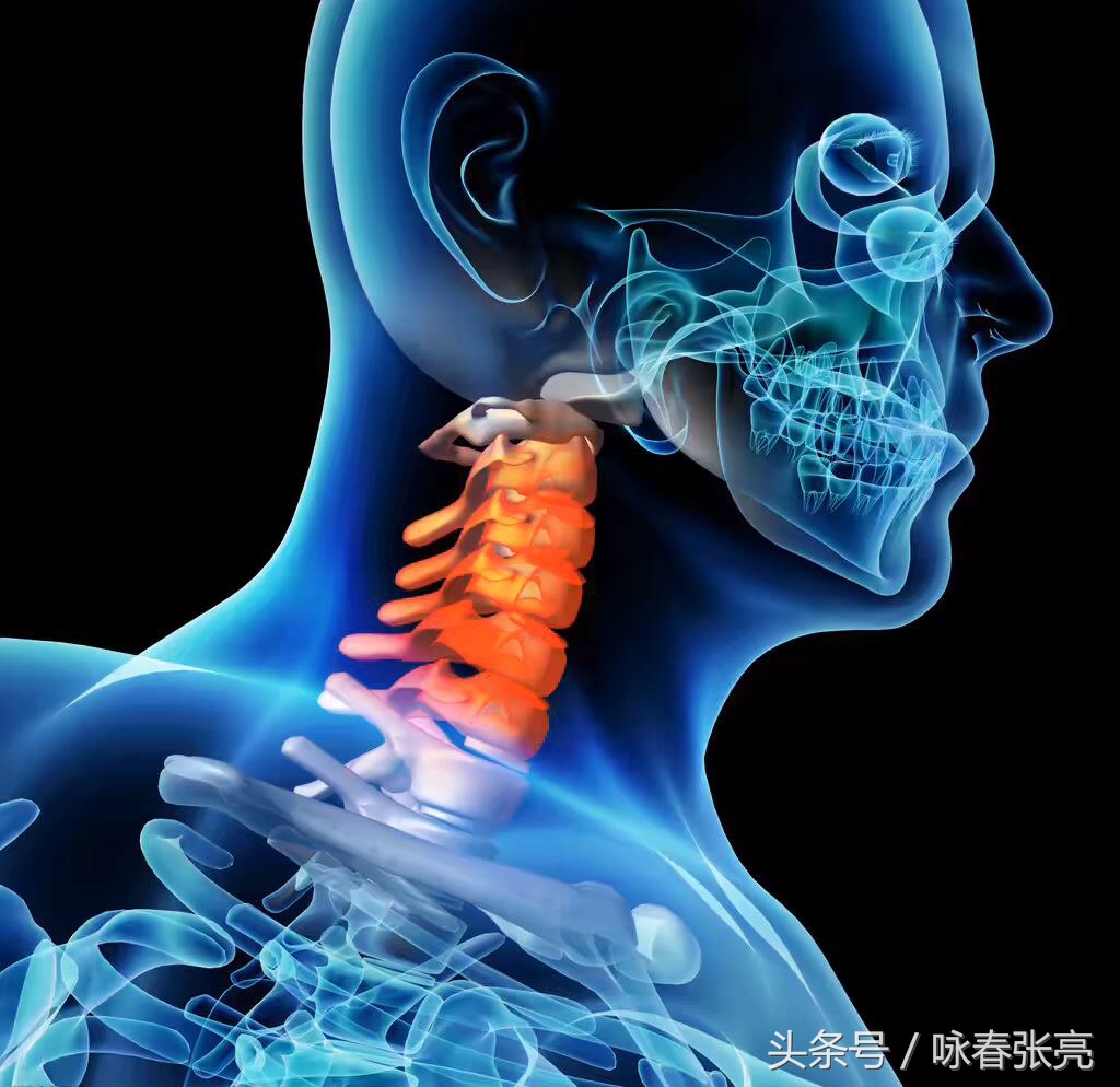 咏春拳十大杀招图解,咏春拳击打颈部招数