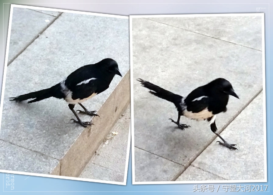 北塘古镇游览视角,北塘古镇游记