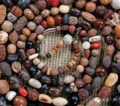 各种菩提子图鉴,史上最全菩提子品种介绍赶紧收藏