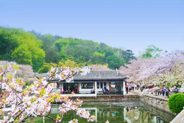 清明小长假出游提醒 (清明小长假微信消息)