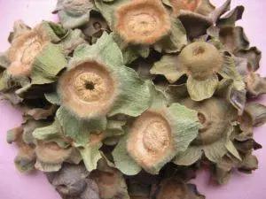 总打嗝是因为有胃病能止嗝吗,胀气打嗝是胃病能吃西红柿吗