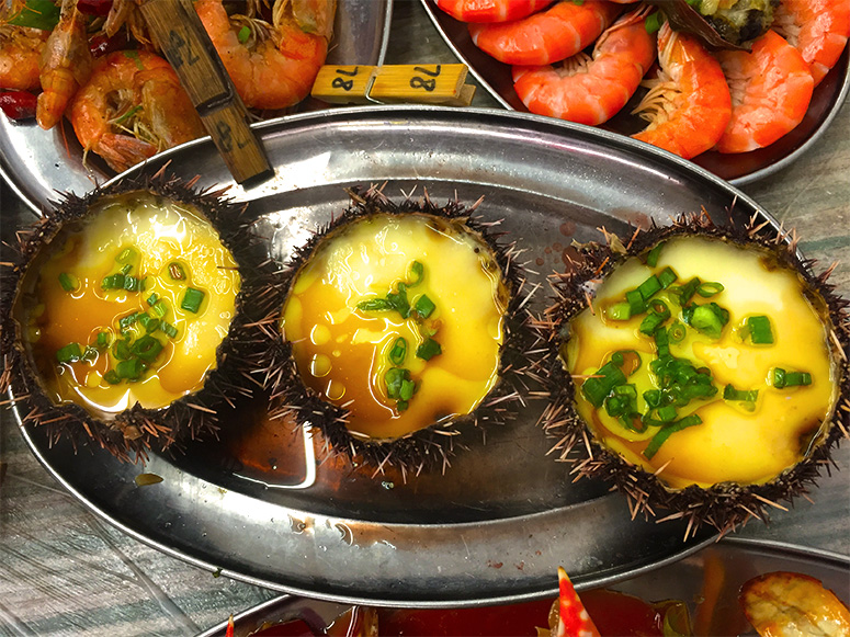 三亚轻奢亚龙湾高端别墅,三亚怎么玩性价比高