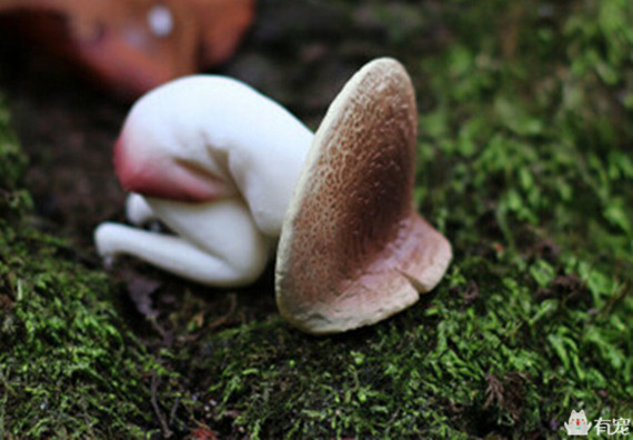 喵星人形象演绎痛经到底有多痛?