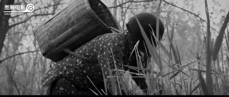 贞子小时候的真实模样,贞子真正的小时候照片