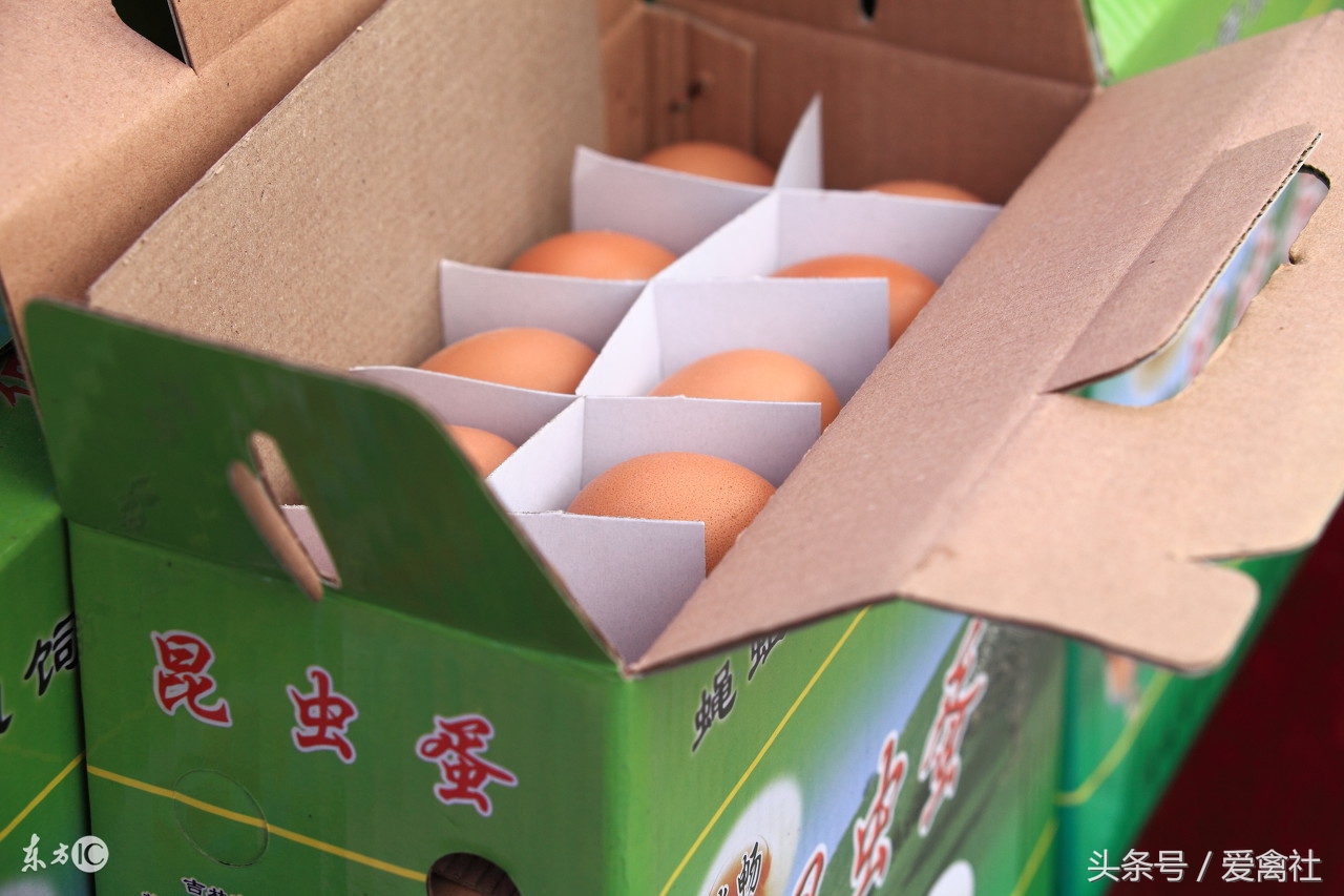 鸡蛋的十大品牌,十大最贵鸡蛋