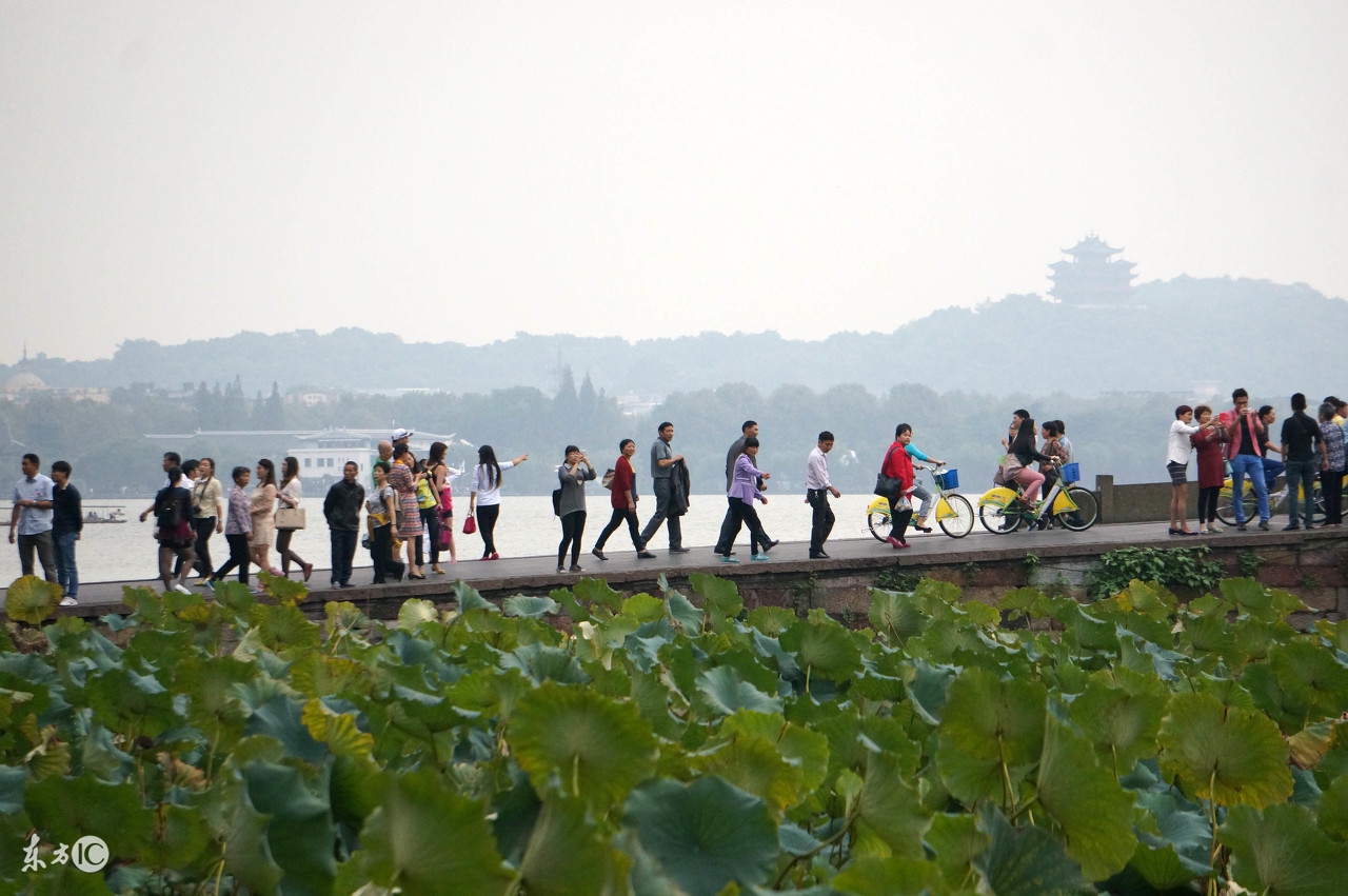 深度解析旅游的感悟,深度解析真实的生活