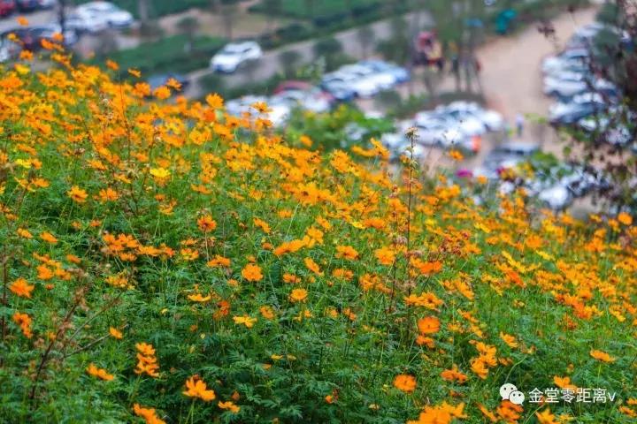 不想上班就去看看大城市,不想上班想去看山和海