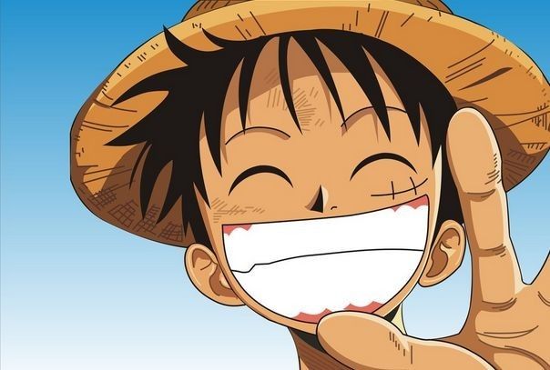 海贼王9人名字,海贼王九位成员是谁