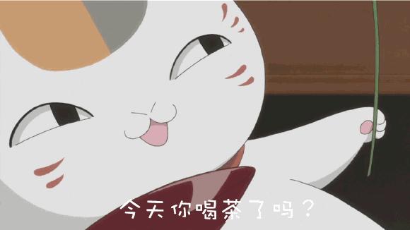 解茶教学,解茶最温柔的方法