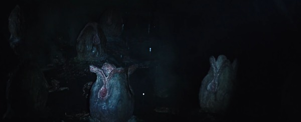 《异形》里的12种异形盘点,异形系列图鉴