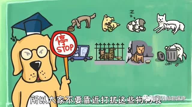 世界狂犬病日漫画,全球狂犬病爆发漫画