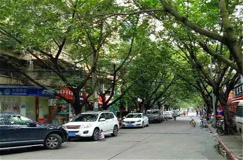 首付10万买精装套三带露台,全新精装套二首付19万