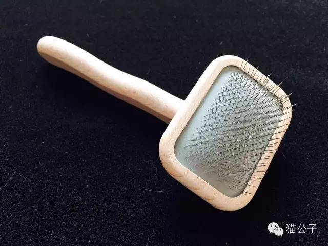 到处都是猫毛|到底什么猫毛梳最好用?