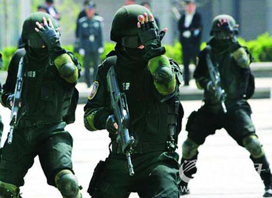 中国顶级保镖武器配备,中国保镖最多的人是谁