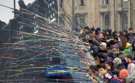 垂钓农庄一般投资多少钱,投资20亩休闲垂钓农庄生态园预算