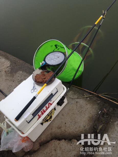 揭秘龙背后的故事,为什么那么多龙纹鲤