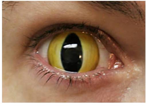 全世界奇葩美瞳,盘点那些奇葩美瞳