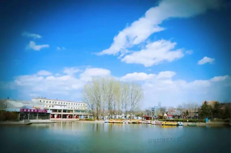 回龙观征婚网,征婚启事爆红全网