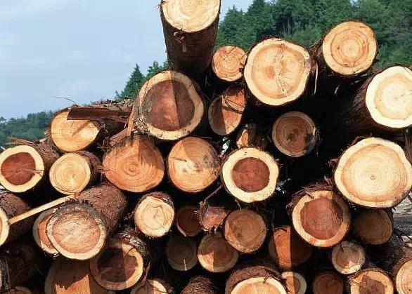 木材表面光滑处理方法,木材颜色深怎么处理