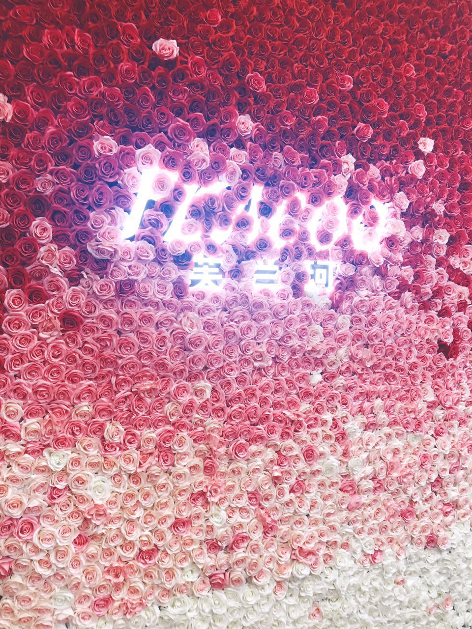 「FLACOO芙兰珂」初秋最chic眼影组合,唐嫣和baby亲自示范!