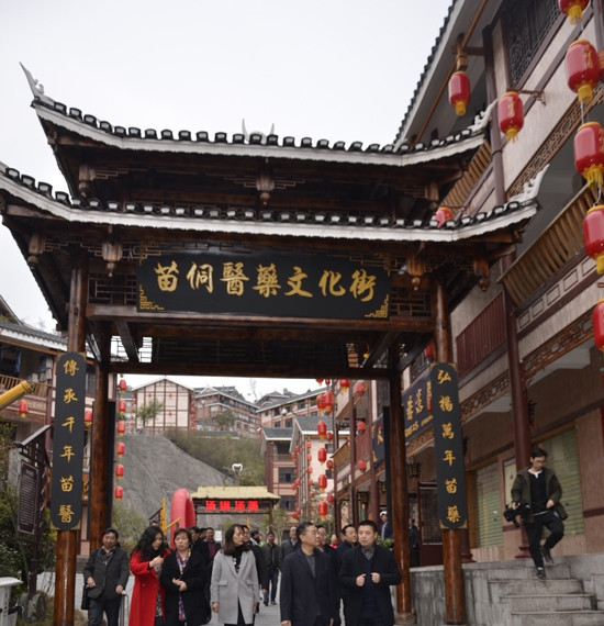 三代医术渊源经历描述,民间侗医药传承