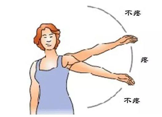 螃蟹治疗肩周炎的方法,螃蟹治肩周炎