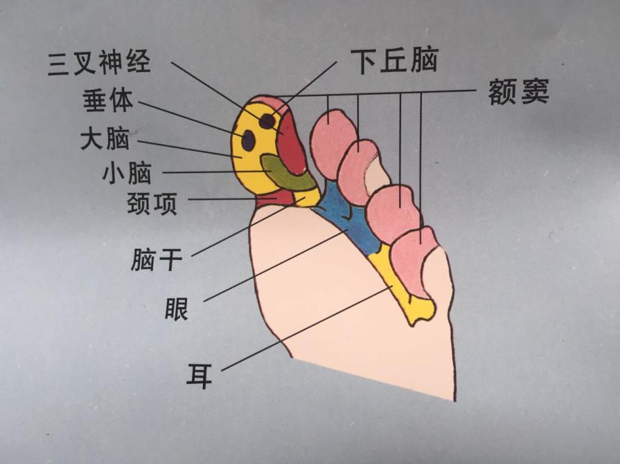 揭开数字疗法的神秘面纱,揭开神秘的面纱案例