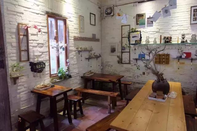 小洲玩点啥,小洲去哪玩了