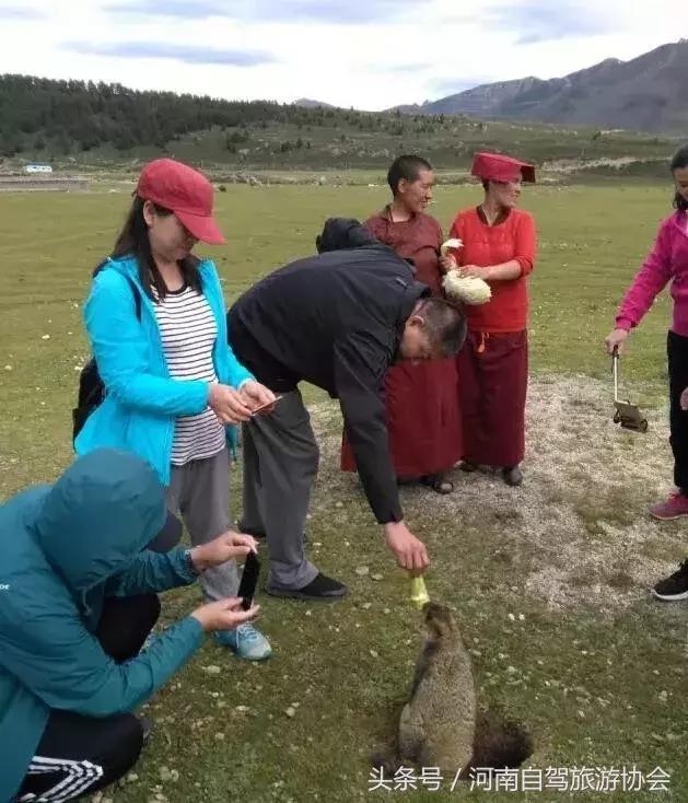 10月14号郑州自驾去*藏西**，错开假日旅游高峰，给你完美朝圣体验