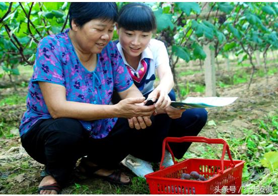 安徽移动网络,安徽移动扶贫宽带