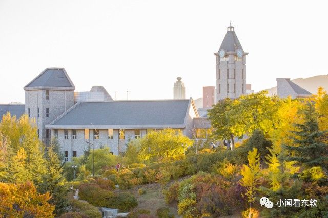 大连东软是本科学校吗,大连东软都有什么院系