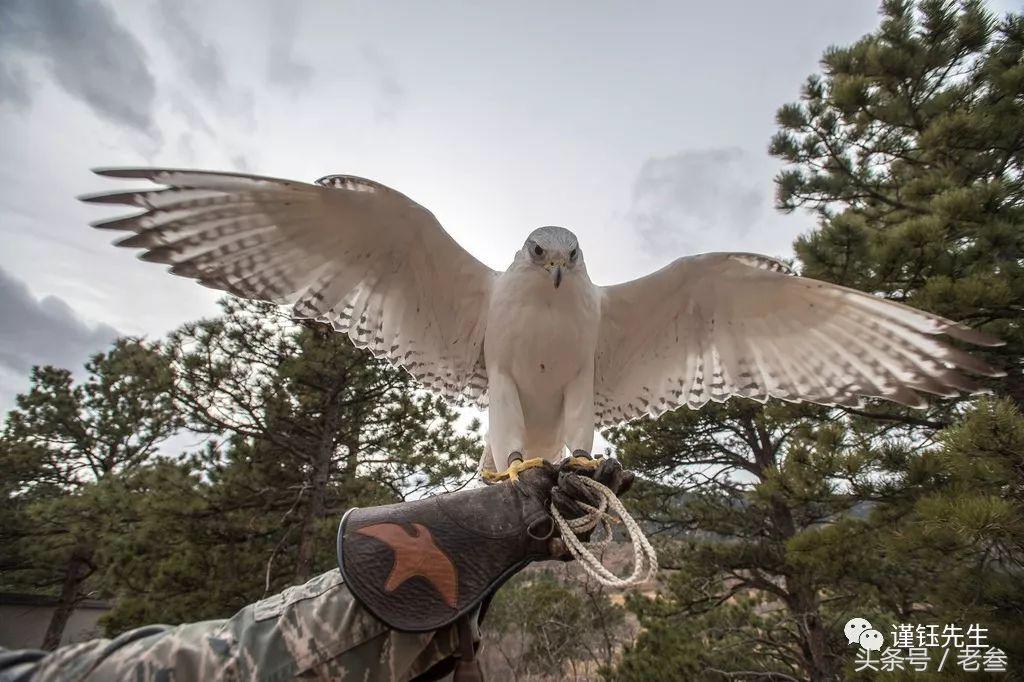 美国空军学院女兵,美国空军女飞行员训练