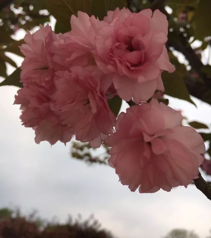 好好珍惜身边的人以后别后悔就行,好好珍惜身边的人句句大实话