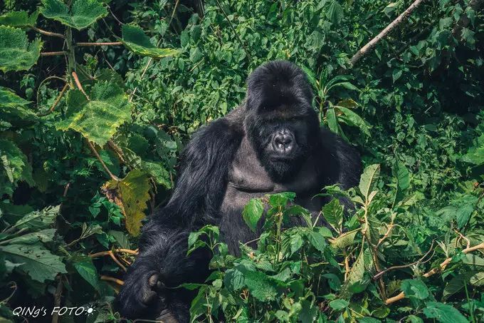 750块钱可以干什么,750块钱能干什么