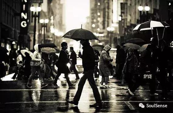 低调又不失奢华的雨伞,高档收藏雨伞