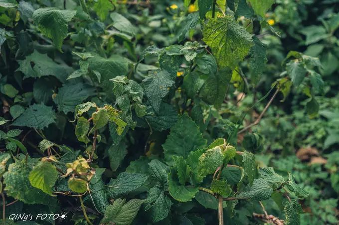 750块钱可以干什么,750块钱能干什么