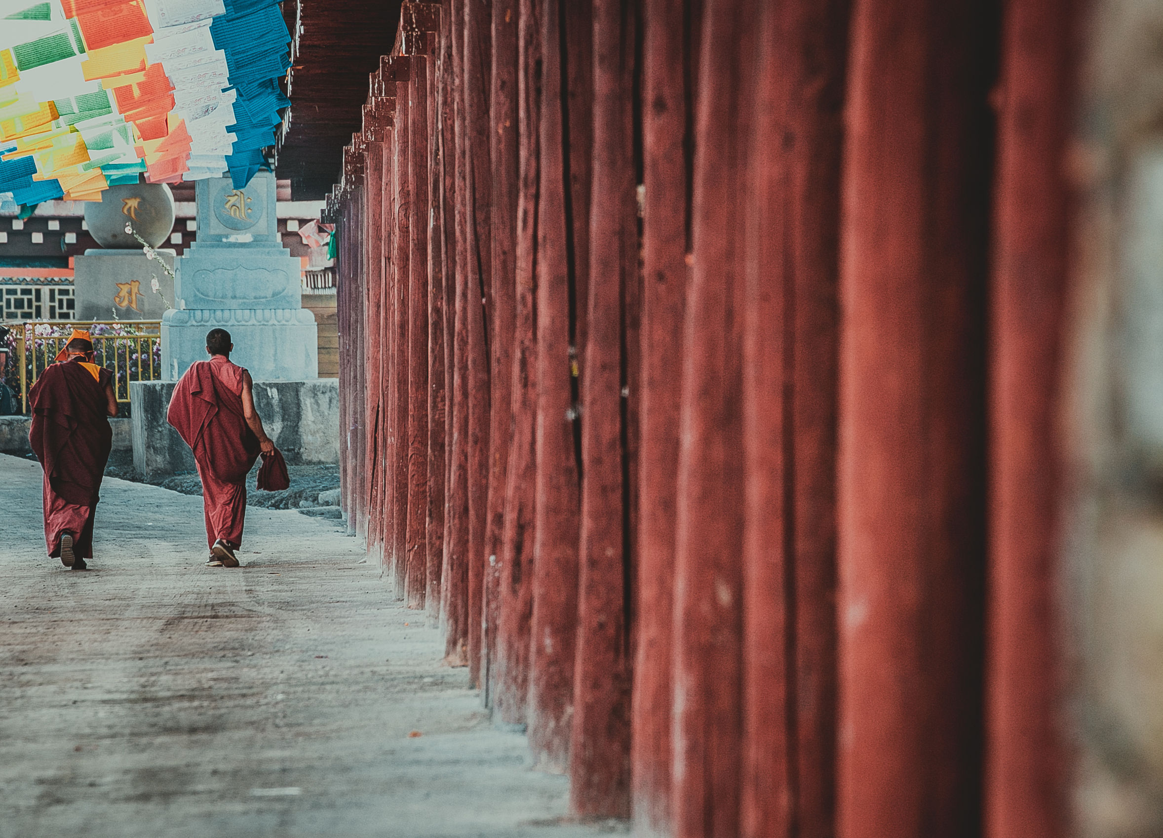 *藏西**的山石上,抱琴不愿归